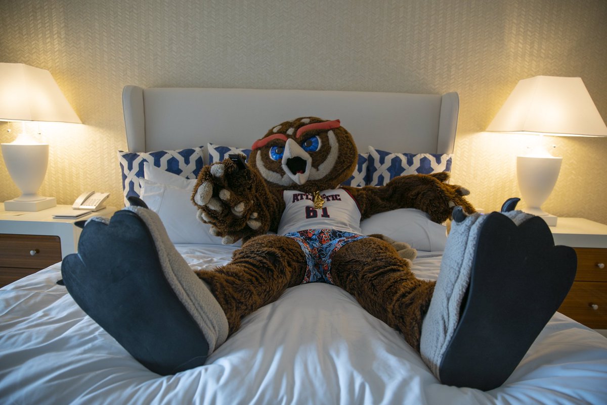 FAU_Owlsley's tweet photo. Woke up feeling war ready 😤 Can’t wait to watch our @faufootball team playing in the Montgomery Bowl tonight against @memphisfootball at 7:00pm!!! Be sure to tune in owl fam and support our team as we try to end the season strong 💪😤 #FAU #GoOwls #Owlsley https://t.co/88O9Nu5Hwd