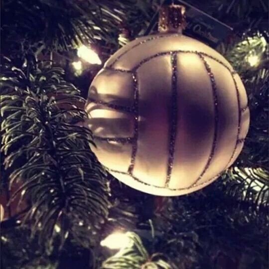 Fijne feestdagen en hopelijk weer lekker volleyballen in 2021!