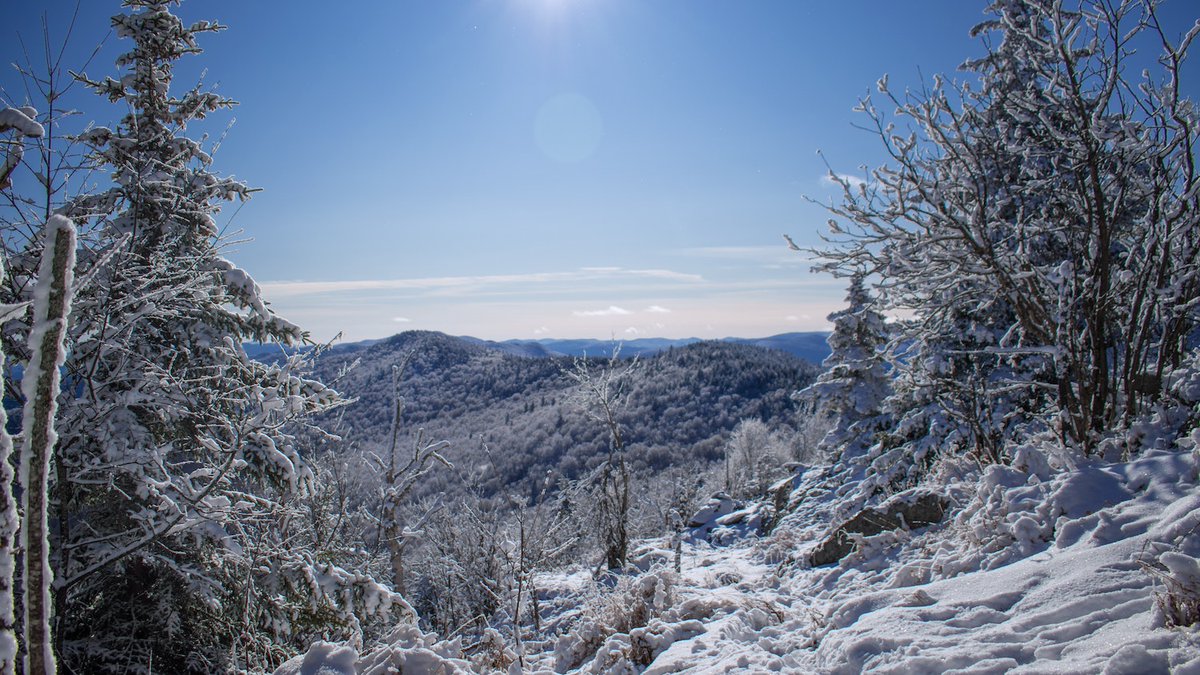 DailyOptician's tweet photo. Today we explore Vermont. Recommend inspiring opticals you would like #DailyOptician to follow from “The Green Mountain State” and we'll reach out to them. Image credit: Kevin Wiegand. https://t.co/nv1JIP3rnM