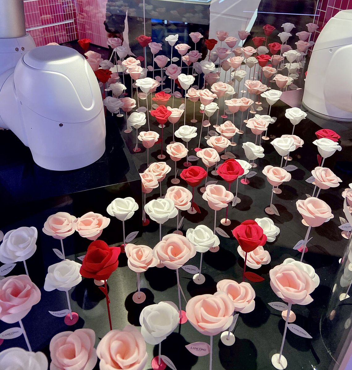 humarobotics's tweet image. [ IMAGES DU JOUR ] ✨Les #robots collaboratifs Doosan Robotics sont en action dans la nouvelle boutique @LancomeFR des Champs Elysées 👉 A voir si vous êtes de passage dans la capitale !
#doosanrobotics #cobotique #industrie40