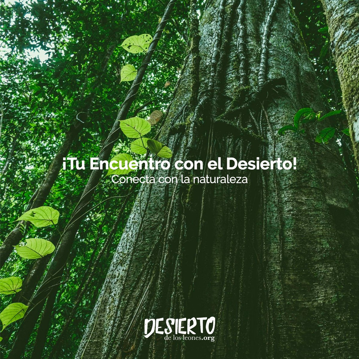 ¿Ya conoces “Tu Encuentro con el Desierto”?
Una nueva experiencia de contacto directo con la naturaleza, practicas senderismo en el Desierto de los Leones, te adentras al Ex Convento en una visita guiada y pruebas la comida de los restaurantes aledaños. 
¡Programa tu visita ya!