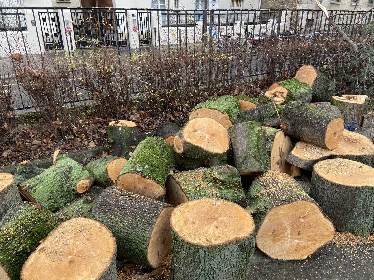 VMontandon's tweet photo. On ne vous voit pas prendre la pose dans le quartier de Charenton-Meuniers à #Paris12... @David_Belliard @EPierreMarie https://t.co/Yaz9xYL9OA