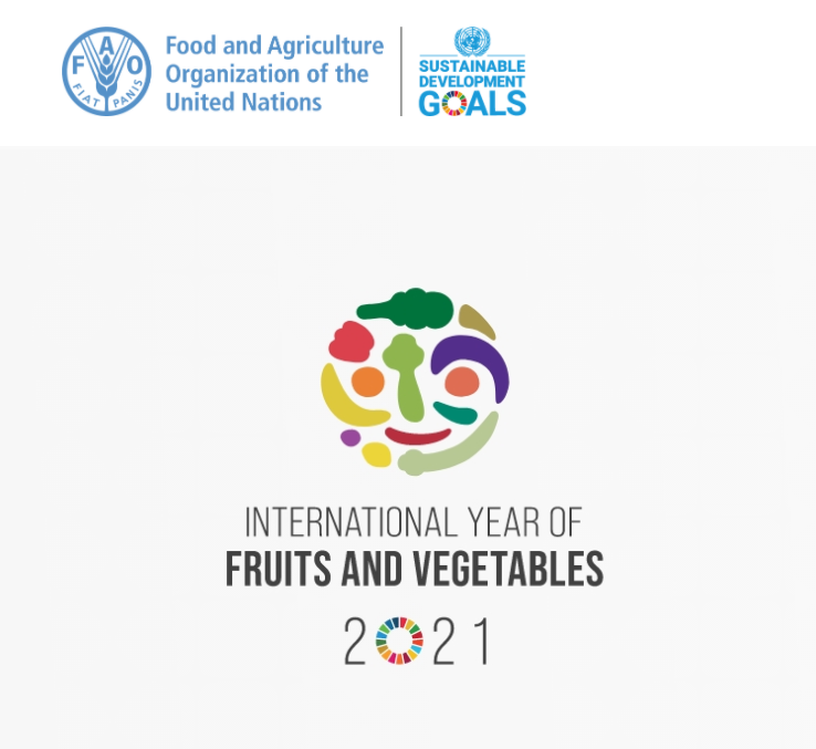 Partners4Dev's tweet photo. We're excited for 2021!  PfD is perfectly positioned to support the #FAO International Year of Fruits &amp; Vegetables. With our #pineapple &amp; #cashewapple work we are ready to raise awareness of the role of fruits &amp; veg in nutrition, food security, health, economy &amp; livelihood. #IYFV https://t.co/BMdWqVCgta