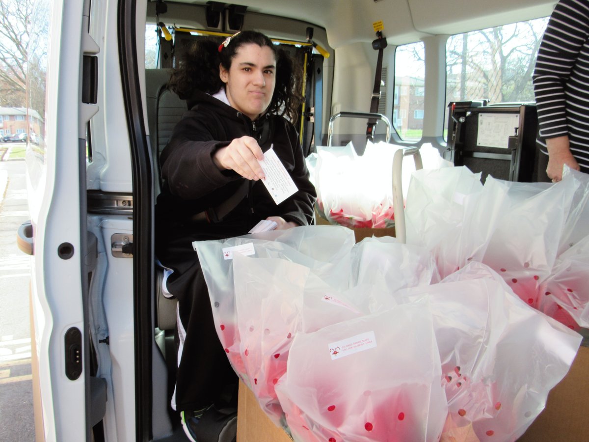 commlivmo's tweet image. Our Support Services for Adults had a great time prepping poinsettias for buyers!