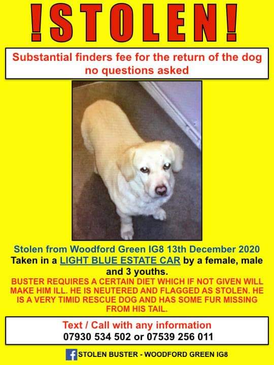 #FindBuster #StolenBuster #WoodfordGreen #IG8 area  #Russian #Translation 👇👇👇 PLZ RT 🐕🐕🐕🐾🐾🐾