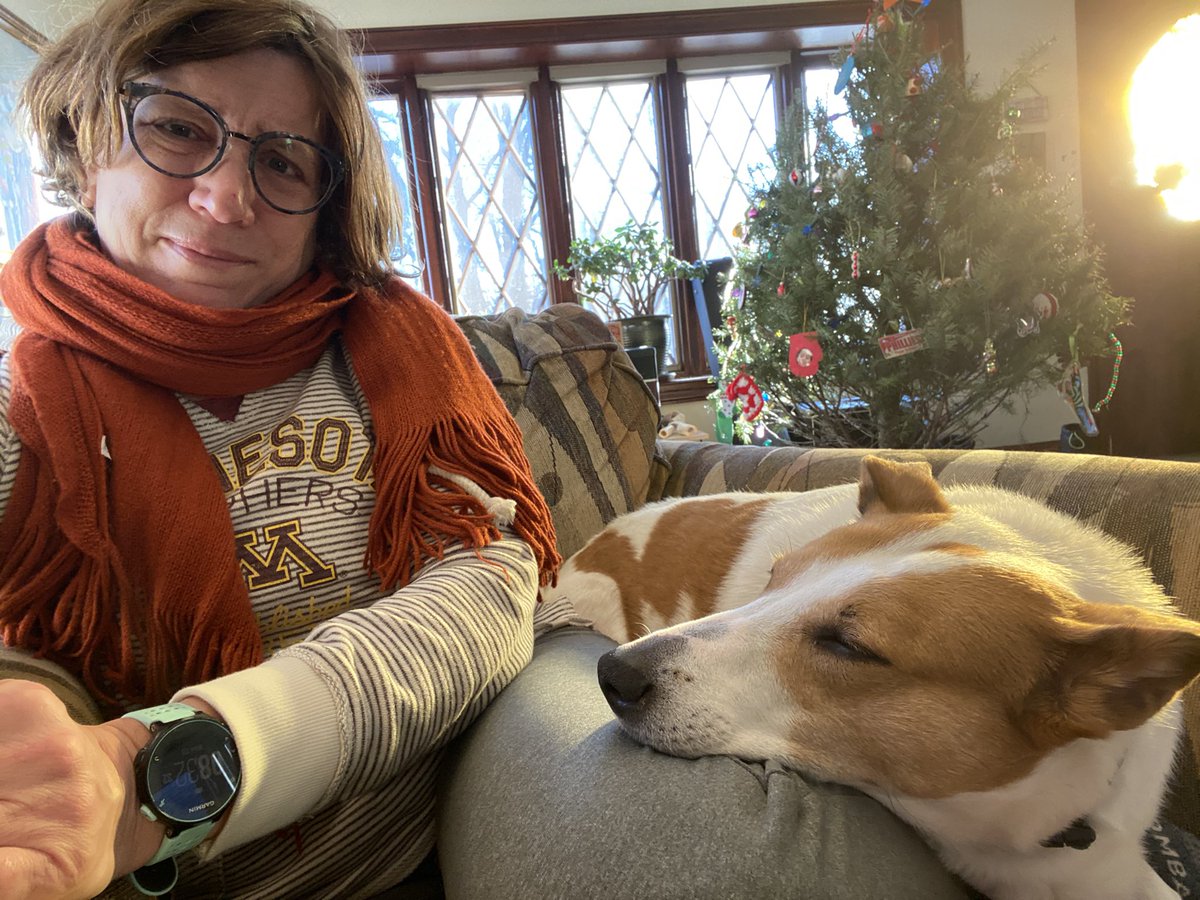 embesq's tweet photo. Excellent, but not terribly comfortable, foot warmer. #poochpower https://t.co/o7lGWX0Oiz