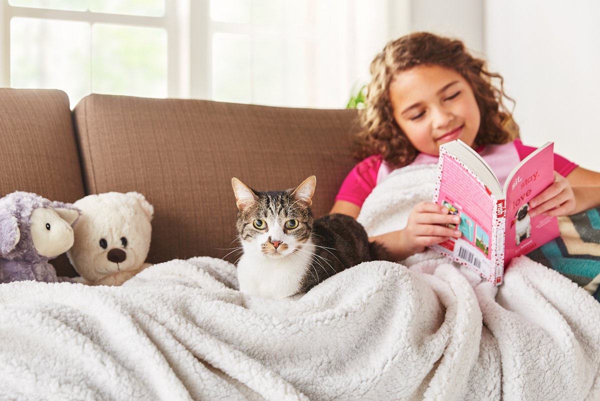 JohnsonRauhoff's tweet photo. In honor of our clients, JR has made a donation to the Bissell Pet Foundation, which has matched our contribution. A leading national organization, the group rescues animals from shelters, helps find forever homes and promotes animal welfare. Visit https://t.co/25gSeyu6bt. https://t.co/ttBbRMCZW0