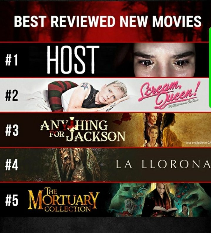 CecilBaldwinIII's tweet image. Thank you @Shudder for making @screamqueendoc (the awesome gay horror documentary I narrated) one of their best reviewed new films of 2020!
#screamqueendoc