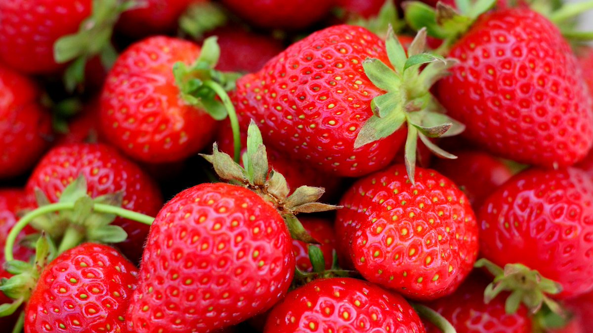 KisanHub tweet media