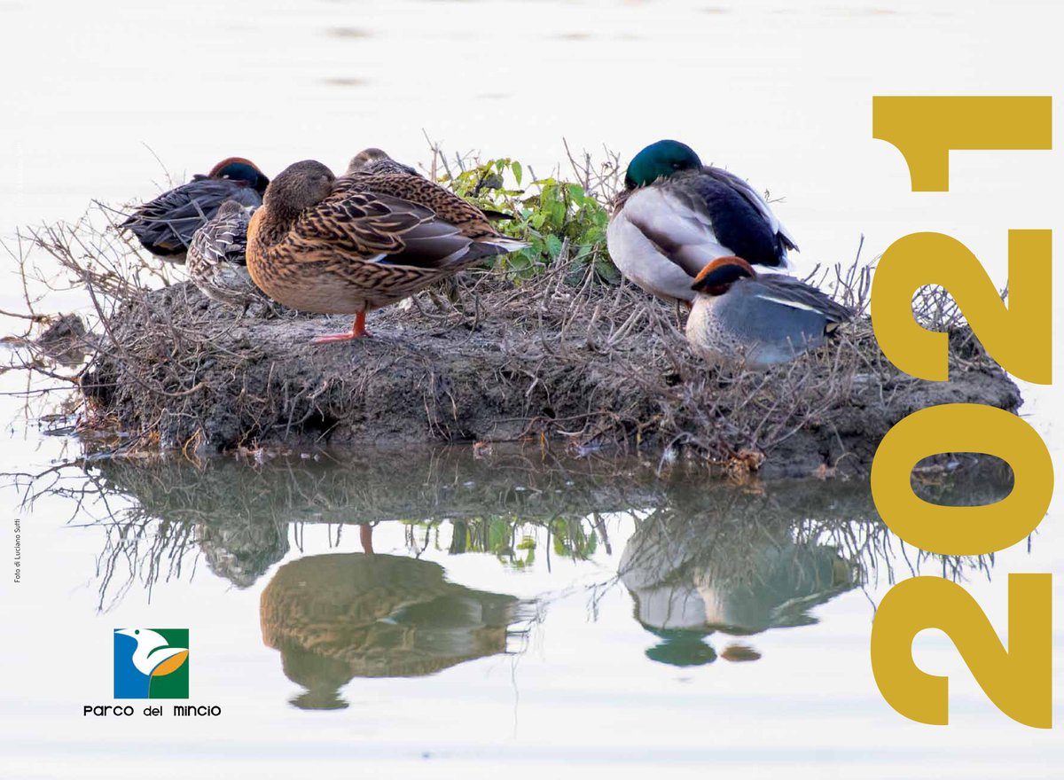 La biodiversità protagonista del calendario 2021 del Parco del Mincio: negli scatti dedicati al nuovo anno, un emozionante racconto per immagini di specie che popolano l’area protetta bit.ly/3haK4Iy #newyear #biodiversity
