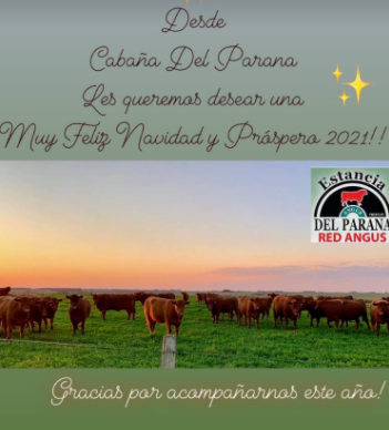 Feliz Navidad y Prospero Año Nuevo les deseamos desde Cabaña Del Parana‼️🥂💫
