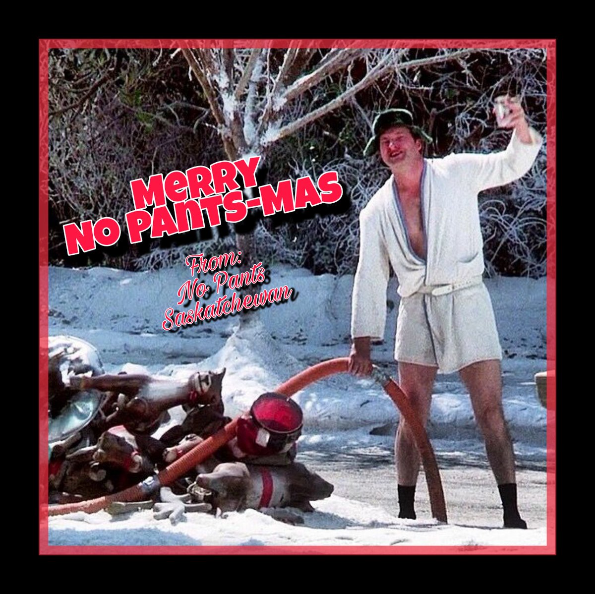 No Pants Sask (@nopantssask) on Twitter photo 