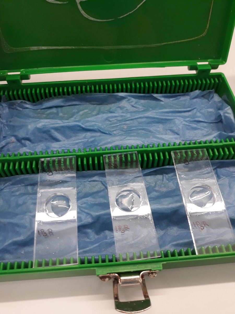 The way we do that is we stick the glass (coverslip) with the adhered tissue section on chambers that can hold a small amount of volume. They allow solution exchange, and can be re-used which is great! We use humidified boxes to perform our immunolabelling procedure.