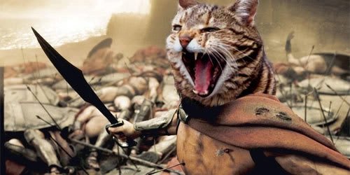 the side of reason is the side that questions, not the side the silences discussion and dissent.gaslighting works by alienating the victim and isolating them from perspective.it cannot work on those who stand together.proud to stand with you on  #RationalGround.