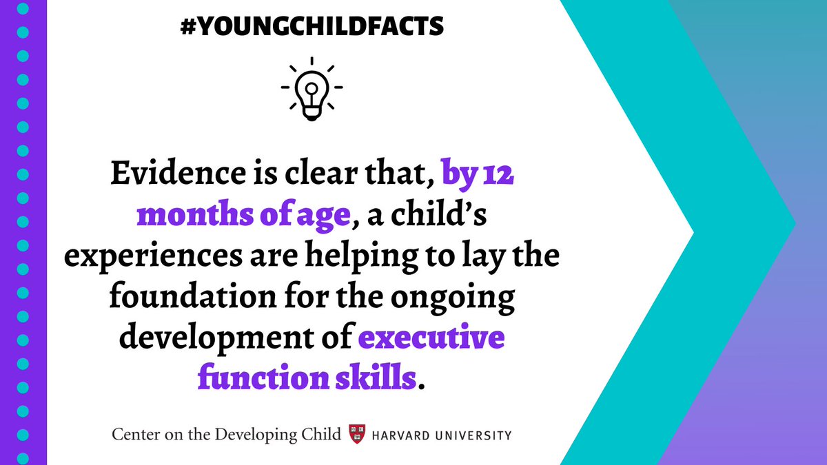 #YoungChildFacts

Learn more:

developingchild.harvard.edu/resources/buil…