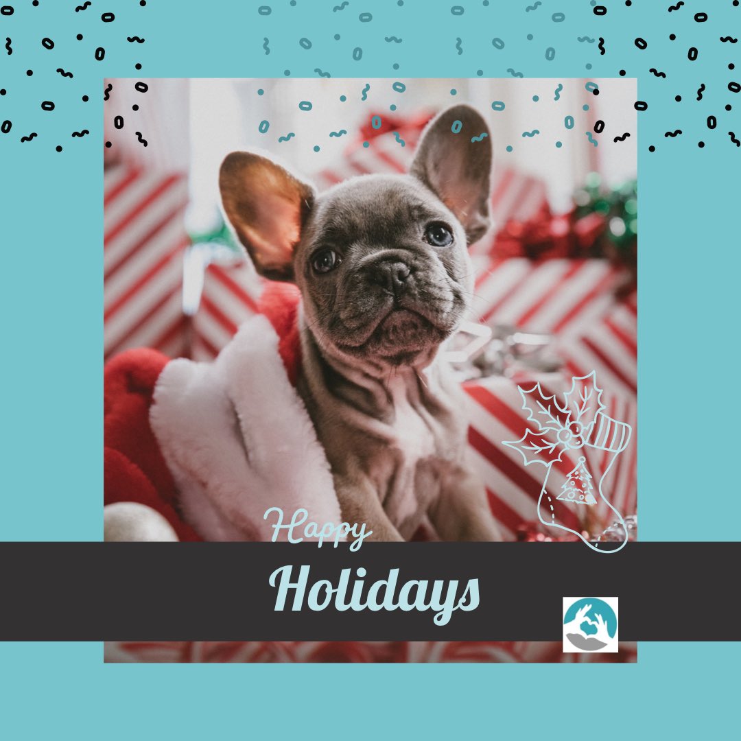 HealthPos's tweet photo. On behalf of the @healthpos team, we wish all our customers and partners a peaceful festive season and positive start to 2021. #healthpos #festive #season https://t.co/vuliCIwk6I