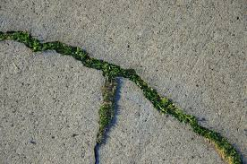 it allows scientists to collaborate and share ideas and courage. it becomes an agora for the ideas that the elders would suppress and even when jack and the gang seek to suppress it, it springs up like grass through a sidewalk ever more determinedthis is how little becomes big