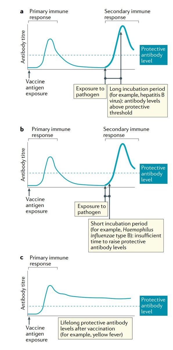NEW 🔥🔥  Masterpiece Review Article
<a href="/NatRevImmunol/">Nature Rev Immunol</a>
Andrew J. Pollard, <a href="/UniofOxford/">University of Oxford</a>
A guide to vaccinology: from basic principles to new developments #IDTwitter #COVID19 nature.com/articles/s4157…