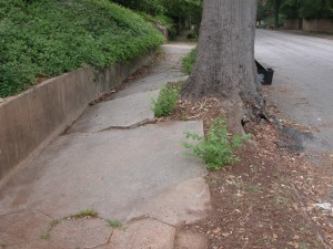 this is how the trunk of the tree breaks apart the asphalt that was placed over it and reaches for daylight.it's been an amazing thing to watch and to play some small part in. and it HAS made a difference. never doubt that.