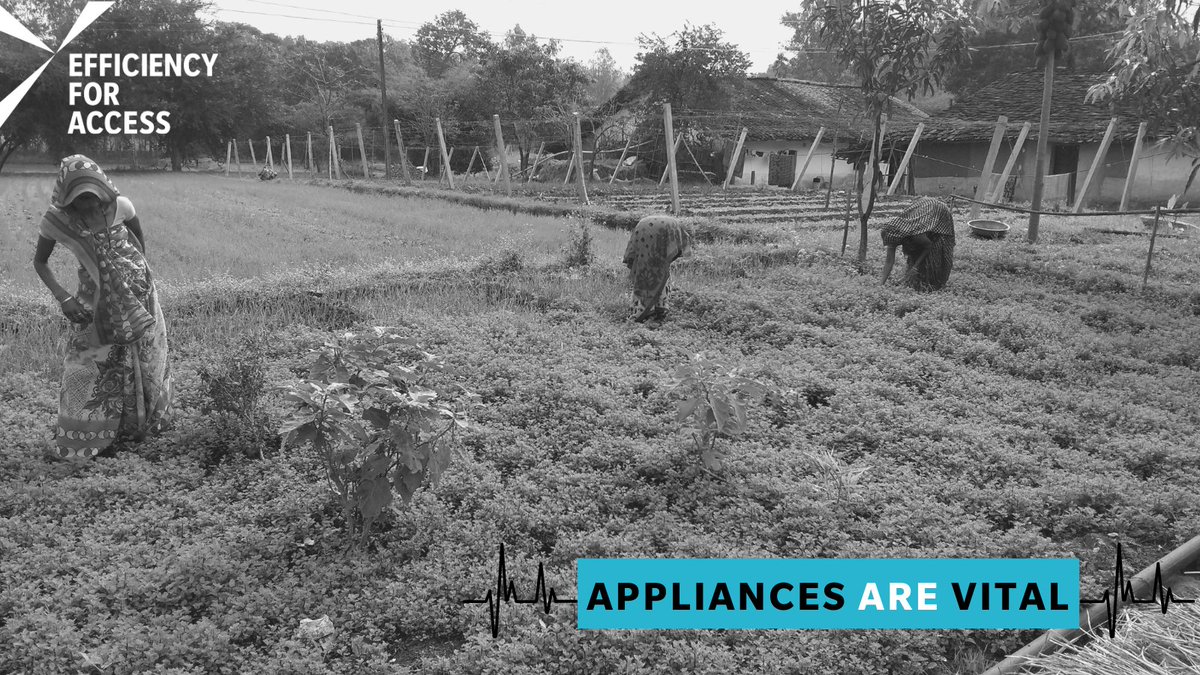 Reducing post-harvest loss helps countries boost food security &amp; address #COVID19-related food shortages. Programme Partner <a href="/Energy_BASE/">BASE Foundation</a> is working with <a href="/coolcroptech/">CoolCrop</a> to deliver #OffGrid cooling solutions in India that reduce loss: bit.ly/3e9fZrc. 
#AppliancesAreVital