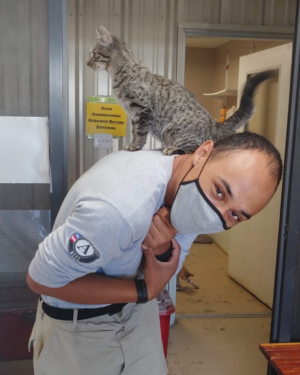 volunteer_la's tweet photo. This holiday season, we’re thankful for all the @AmeriCorpsNCCC members serving in Louisiana, including FEMA Corps Teams Wave 3 &amp; Gulf 1! Both teams have recently completed Independent Service Projects with the Baton Rouge Green &amp; the West Feliciana Animal Humane Society. https://t.co/EShFciqEB4