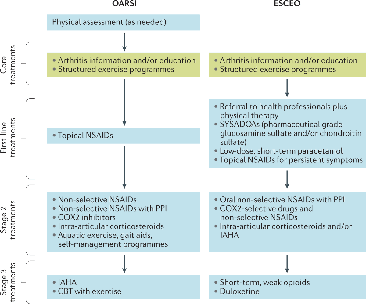 NatRevRheumatol's tweet photo. #JanIssue | Authors of the latest #OARSI and #ESCEO recommendations for the management of knee #osteoarthritis and independent experts compare and contrast these guidelines and provide insights into their differences in our #Perspectives article
https://t.co/CJLudVG6G4 https://t.co/N9uvqe430q