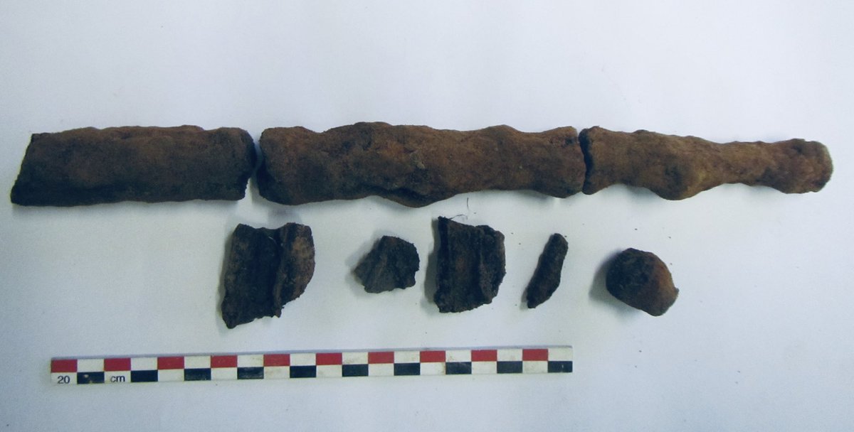 4/ Down the route of the pipeline, a few 100m to the west, more human remains were encountered in the test trench: a French soldier, his grave destroyed by a shell. The following excavation led to the discovery of a second French soldier, his remains assembled in a charnel pit