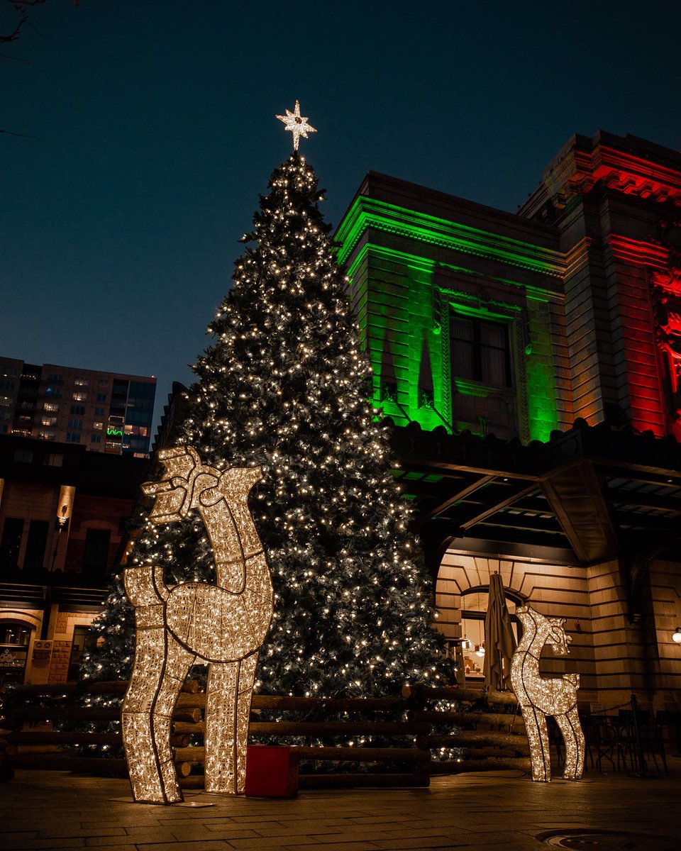 Great Hall Christmas tree or the Plaza Christmas tree... which is your favorite? 🤔