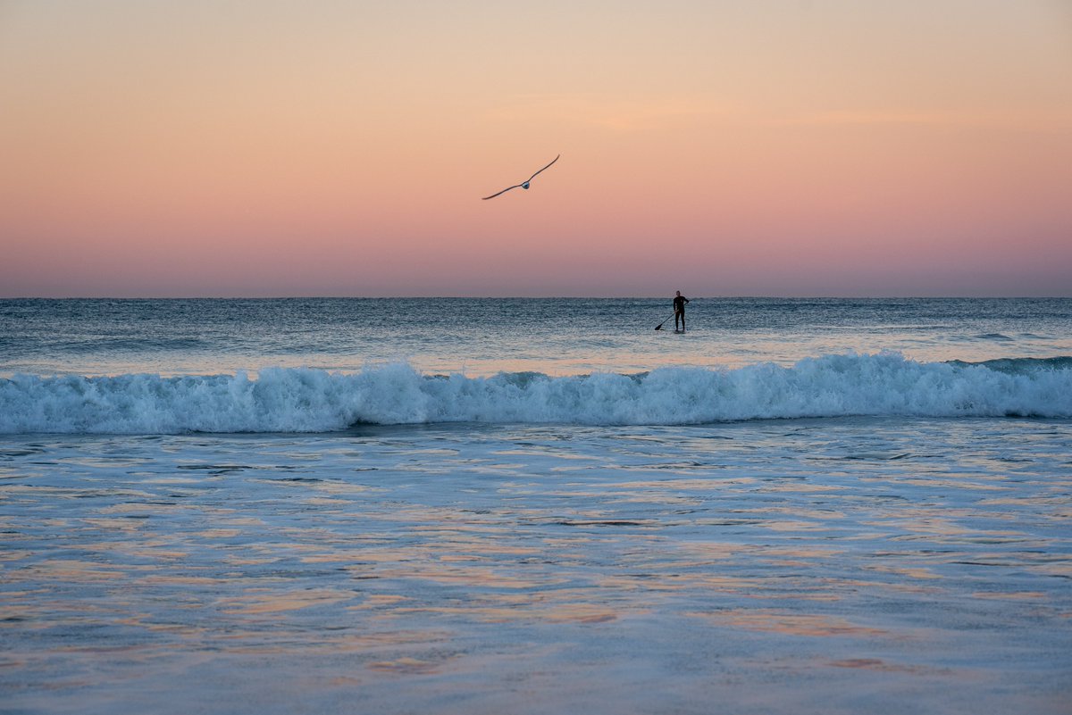 r3randall's tweet photo. California Coastal Series

Sunrise is my favorite time to shoot along the coast in North County. The surf culture here offers so many amazing opportunities to make pictures.

Available as Signed/Numbered Limited Edition print and also in Open Edition.

https://t.co/HTQXDxmxfw https://t.co/pbHjKe5mRL