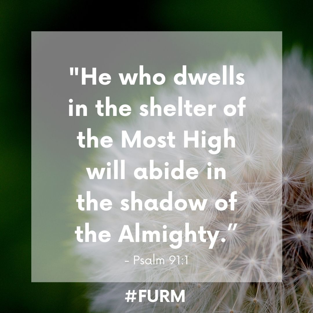 FURM245's tweet photo. “He who dwells in the shelter of the Most High will abide in the shadow of the Almighty.”
Psalm 91:3
-
-
-
Praise God! He is covering you with his love today and every day! https://t.co/B6nFe1ed5m