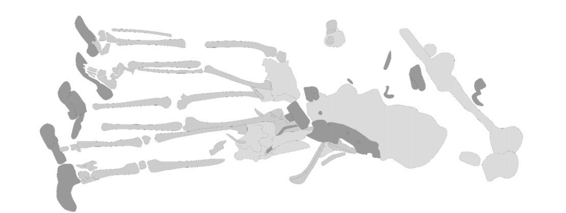 3/ On the other side of the Ieper-Diksmuide road, an area was selected for excavation because of  #FWW and  #Roman features. During the dig remains were uncovered on the edge of a bomb crater. Closer examination lead to discovery of 5 more German soldiers, piled up in the crater