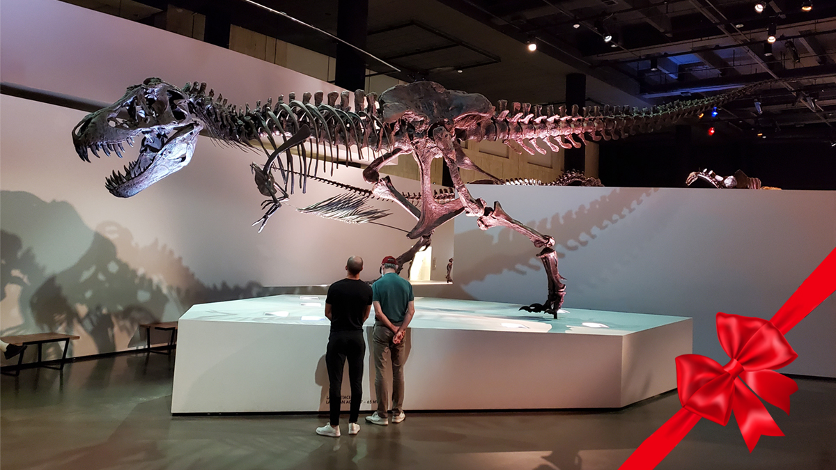 Houston Family Magazine tweet media