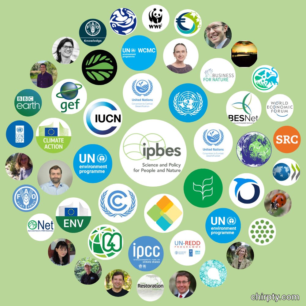 IPBES's tweet photo. As 2020 draws to a close, we would like to thank our whole @Twitter community for engaging with us and supporting our work for the past 12 months💚

Thank you for joining @IPBES on our journey to communicate science on #biodiversity and #EcosystemServices 🌿 https://t.co/toPi1mlkeg