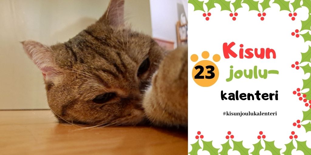 . 😺 Kisun joulukalenterin 23. luukku 🎄 

Huh - olin tänään eläinlääkärissä. Mutta nyt olen takaisin kotona ja syönyt jo vähän herkkuruokaa. Mamma lupasi myös harjausta. Elämä alkaa sittenkin kuulostaa joululta 😻. #kisunjoulukalenteri #kisu_uutiset #kissat #joulukalenteri