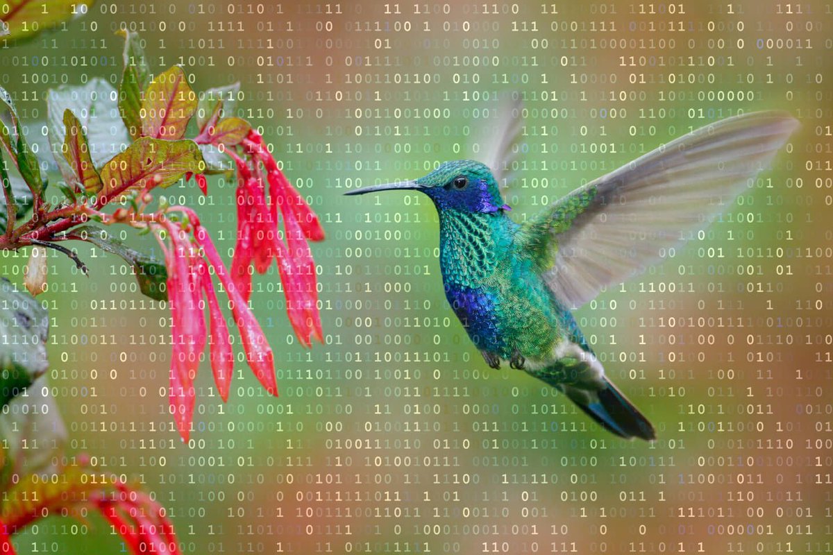 BenchmarkIT_Sol's tweet photo. #Devs can now use #Google’s #Flutter to build apps on #Linux!
https://t.co/VOVjNmhinA
#Enterprise #EntepriseTech #B2B #EmergingTech #DigitalTransforma2020 #digitaltranformation #AI #IoT #BigData https://t.co/EqCQglbmDG