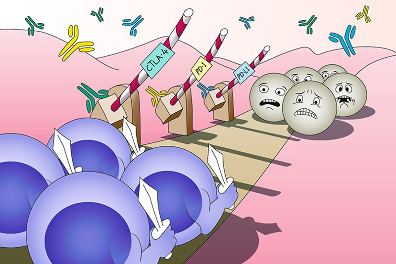 Do you   #immunology (who doesn’t)?  #Immunotherapy and  #CARTcells are now key parts of the cancer treatment armory. Read more from Teresa Villanueva  @NatRevDrugDisc and David Killock  @NatRevClinOncol (2/n) https://go.nature.com/3nEqLJZ  https://go.nature.com/3h1Mc5c 