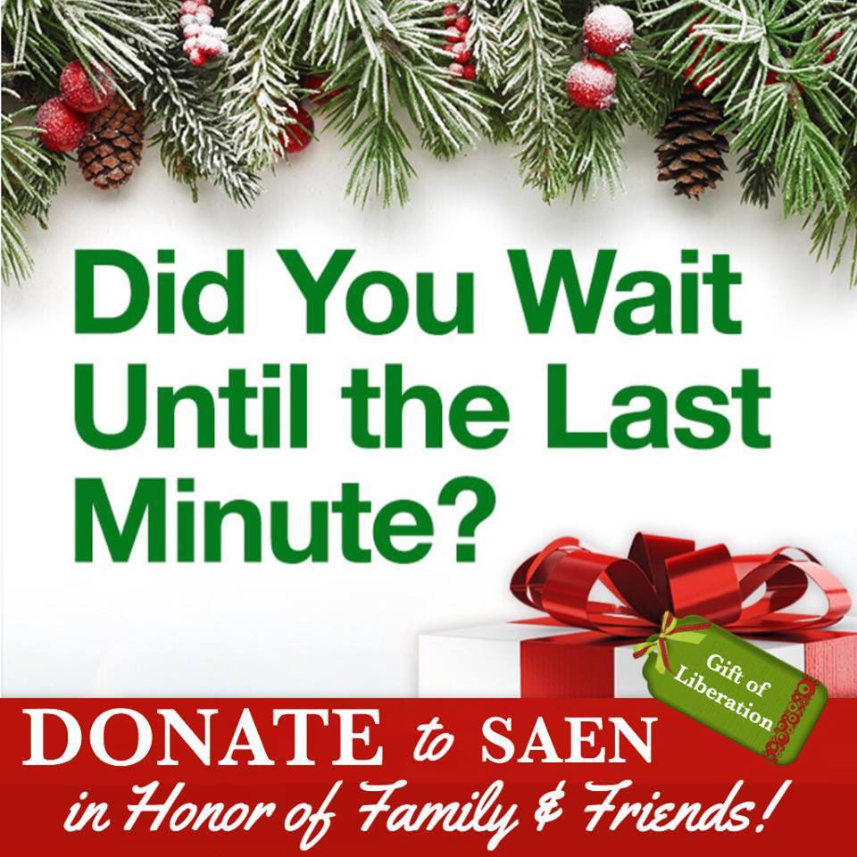 SAENonline's tweet photo. GIVE the GIFT of ANIMAL LIBERATION this Holiday. DONATE to SAEN in HONOR of family AND friends.🎄🎁🌺🐾🎀🎉☃️

DONATE @ https://t.co/UK7tnQQrvv

#SAENonline #Christmas #giftideas #gifts #gift https://t.co/ldkdCr1ljl