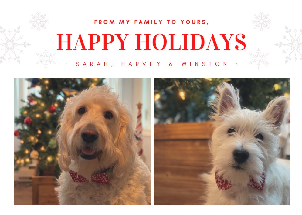 This year has been very challenging in many different ways. Wishing you &amp; your family a safe holiday season and a healthy &amp; happy new year 🎄