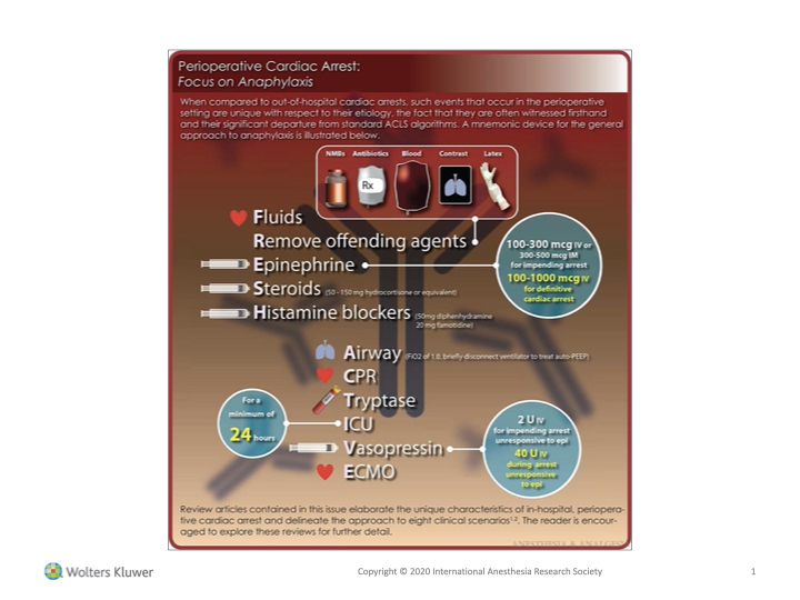 IARS_Journals's tweet photo. 🔴 Cardiac arrest OR &amp; proc areas  from unique causes specific to #OR or procedural environment: management requires modification of traditional #cardiacarrest @vmoitra @gmacmd @TweetAb17 @lipidguy @sharoneinavMD @mcevoy0122 @vumc_Anes @columbiaCCM (1/2) 
https://t.co/Sy37v4R52l https://t.co/iUT2YlKlBa