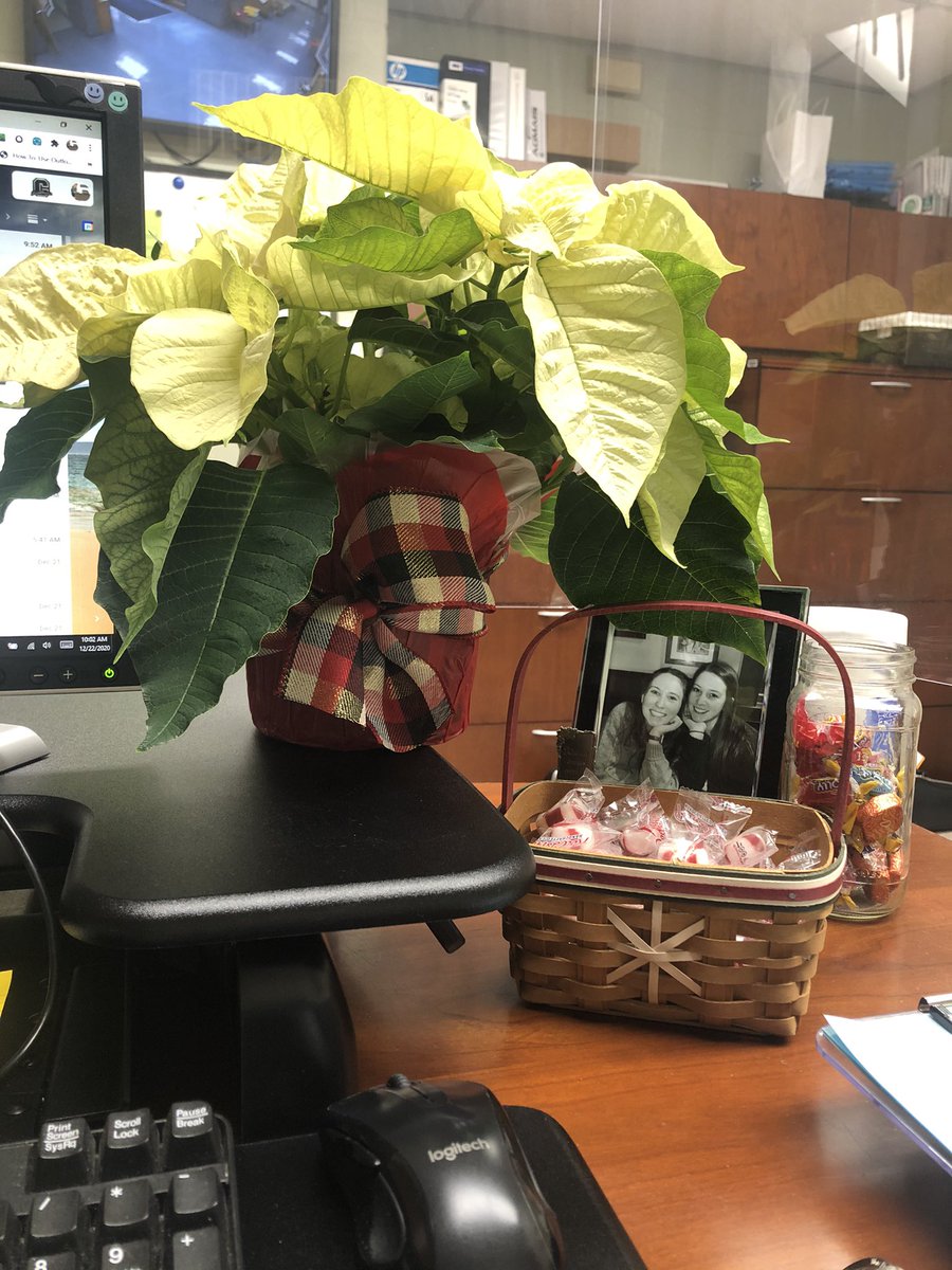 Best wishes for a joyous Christmas  and a Happy New Year filled with love, happiness, kindness, hope and grace. Thank you Shannon and Rachael for the beautiful poinsettia and gift.  The poinsettia looks so festive in the office. #bekind #tatemtweets #colls