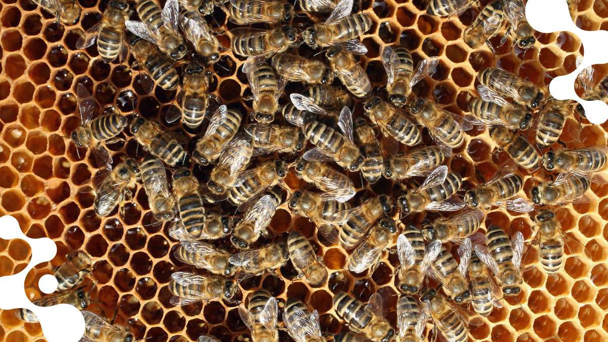 Discovery Education tweet media