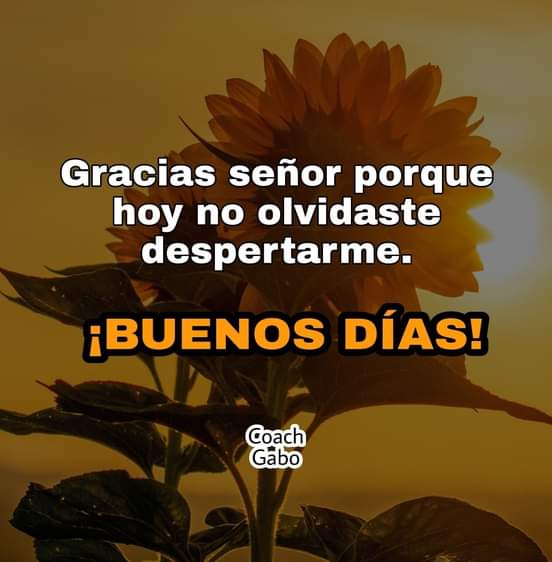 MERR02's tweet photo. 🌞 Buenos Días, mi gente bella 🥰 que tengan un Feliz y Bendecido Miércoles. ☕🍪
#PLOMO19 
#TodoConAmor https://t.co/Fzkr012w80