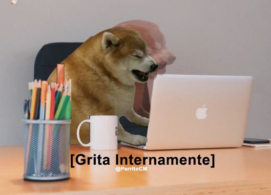 Lic perrito kpooper tweet media