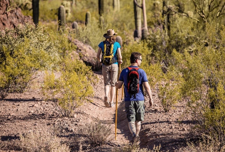 4 Must-Hike Trails in Greater Palm Springs
#visitpalmsprings #hiking #california palmspringslife.com/bignell-hiking/