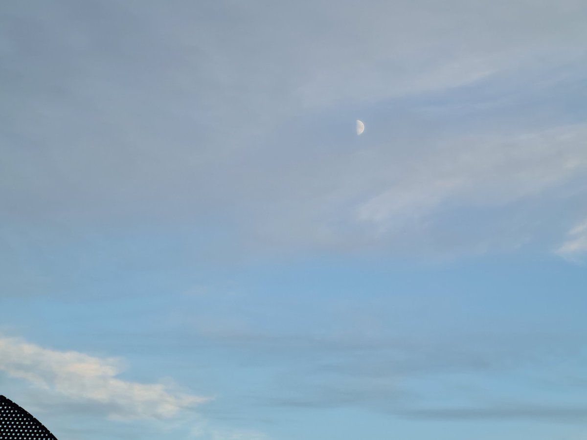 brookshaw_sara's tweet photo. Moon
#moon #halfmoon #daytimemoon #nature #whitelight #beauty #clouds #moonlovers #moondaytime #moonsglow #moonphotography https://t.co/w95xtZlpOX