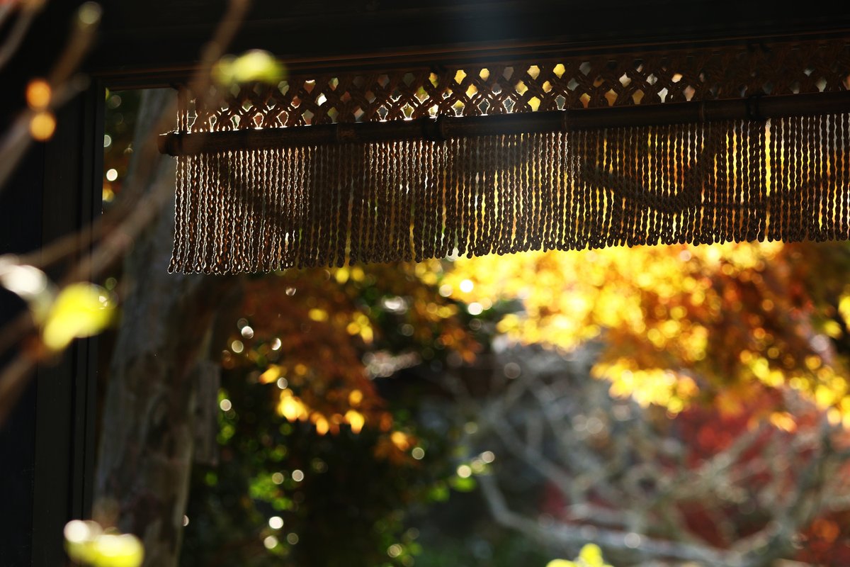 no07t_suzuki's tweet photo. 【今日のOneShot】
東慶寺・秋

※2020.12.6撮

#紅葉 #もみじ #いちょう #銀杏 #東慶寺 
#鎌倉 #北鎌倉 #神奈川 
#autumnleaves
#loves_japan #Kanagawaphotoclub #photo_travelers
#photo_jpn #canon_photos #eos_photo
#my_eos_photo https://t.co/UsRNo51HX1