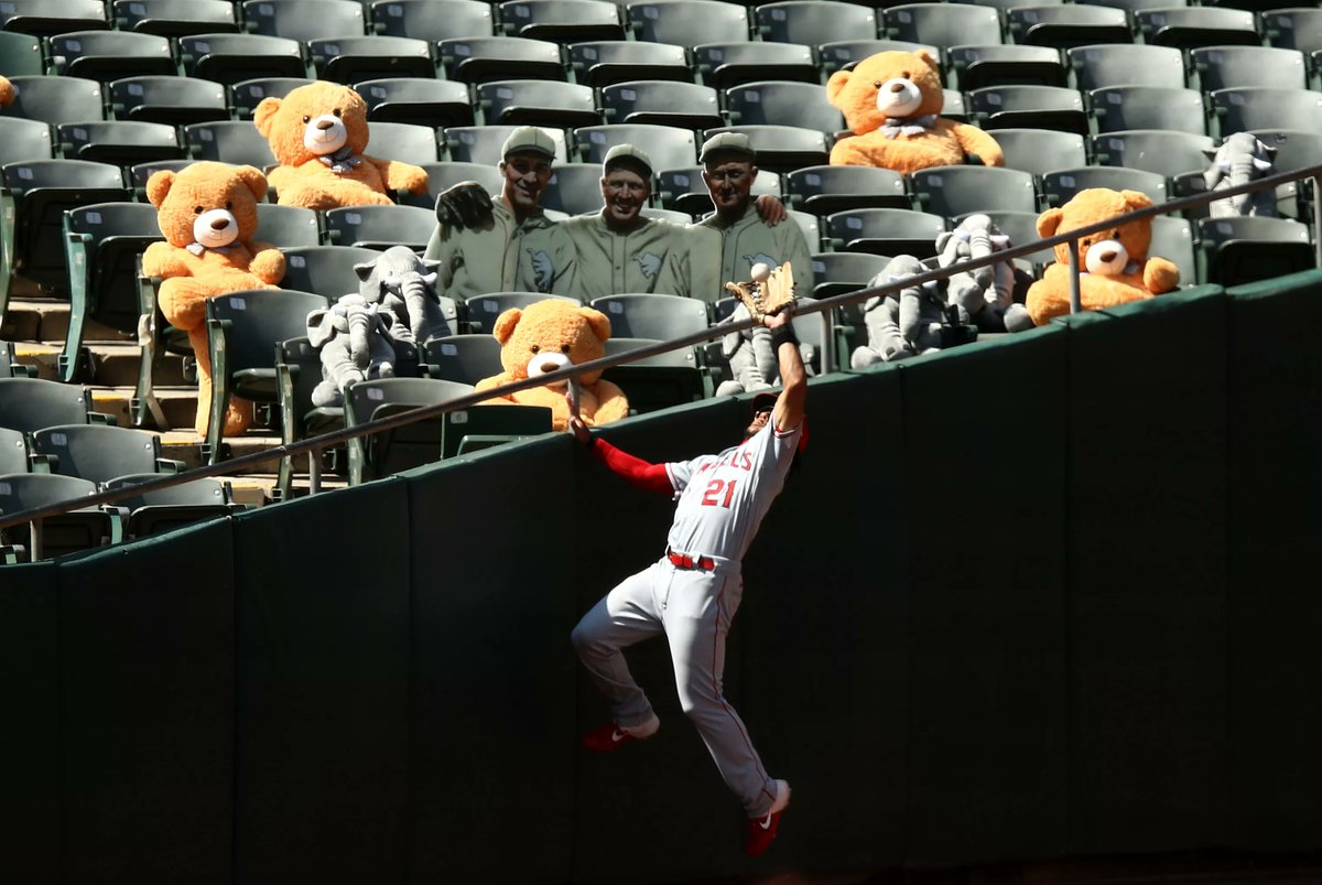 𝗝𝗨𝗟𝗬 𝟮𝟱 — No fans were taken out to the ballgame this summer, but stuffed animals and cardboard cutouts were permitted.