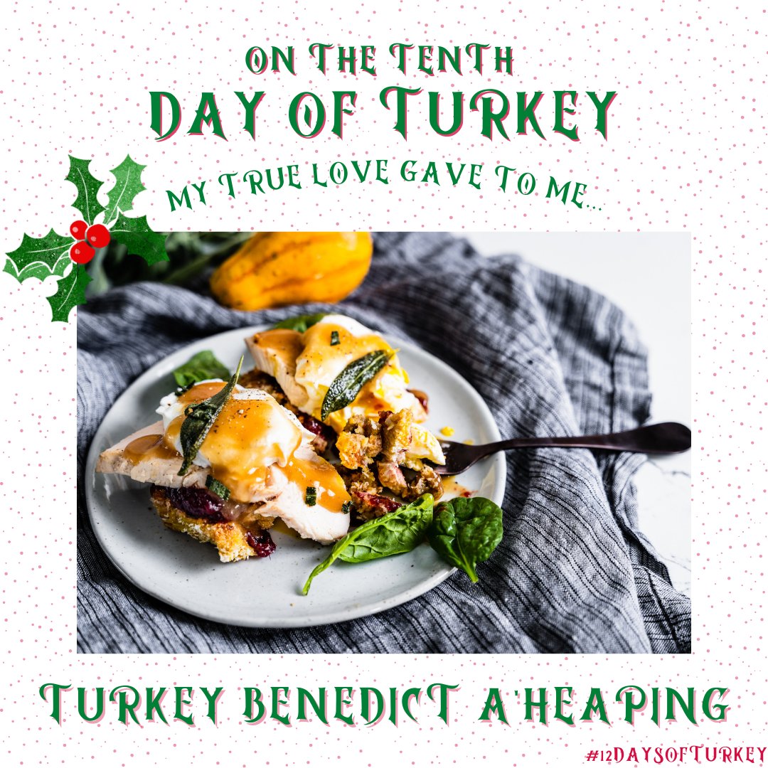 ServeTurkey's tweet photo. You'll be a'leaping for Turkey Eggs Benedict a'heaping! It's the perfect brunch option for #Christmas or #NewYears morning to use up that tasty leftover turkey. We'll take our mimosa with a splash of cranberry, please! #12DaysofTurkey
Get the recipe: https://t.co/t8u8xEGQFL https://t.co/1DXhQwQrna