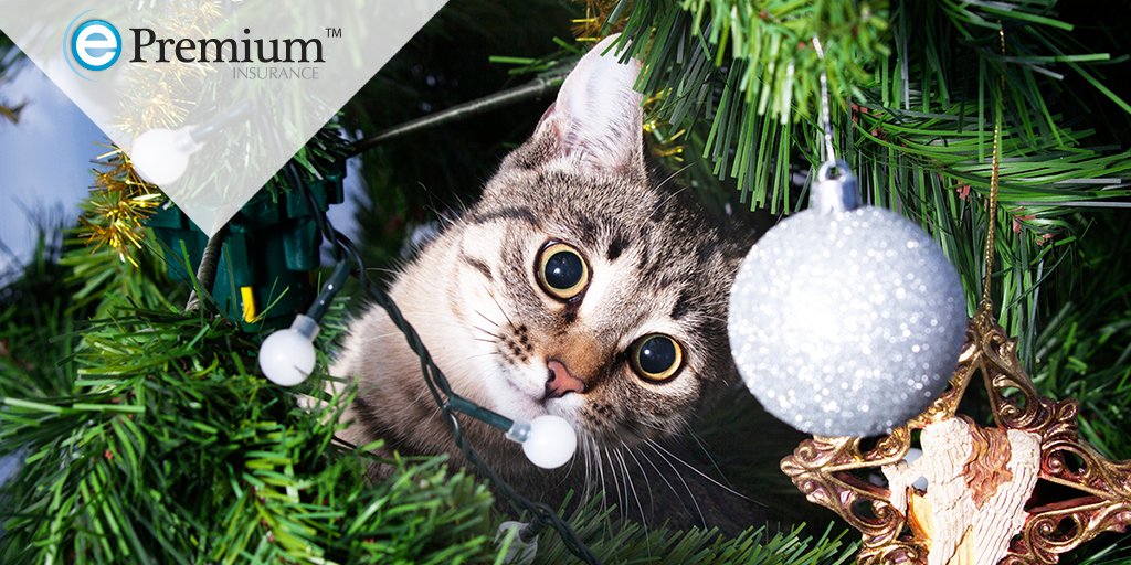 To all of you celebrating, we wish you a Merry Christmas! Our office hours have been adjusted for the holiday:
Thurs - Dec 24 9:00 AM - 1:00 PM ET
Fri - Dec 25 CLOSED

#epremiuminsurance #epremium #Christmas #rentersinsurance #naansc