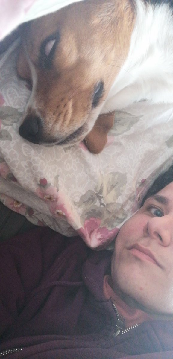 chiiscake's tweet image. 